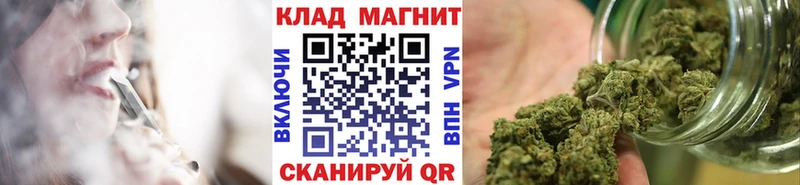 Где продают наркотики Вязники Cocaine  Альфа ПВП  Амфетамин  Псилоцибиновые грибы  Мефедрон 