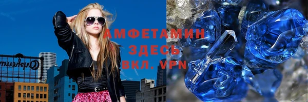 сатива Беломорск