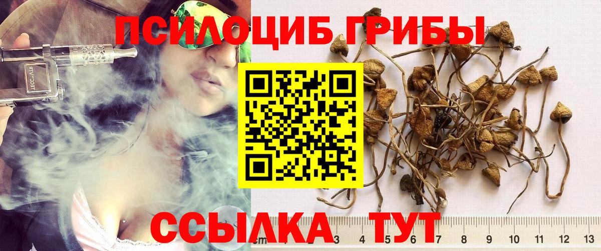 Псилоцибиновые грибы мухоморы Вязники